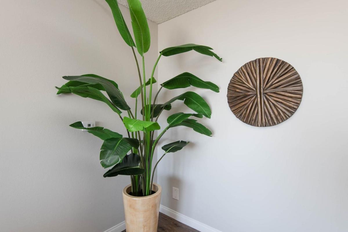 Apartment Hollywood Glam 2Br Apartment 405 Delet *